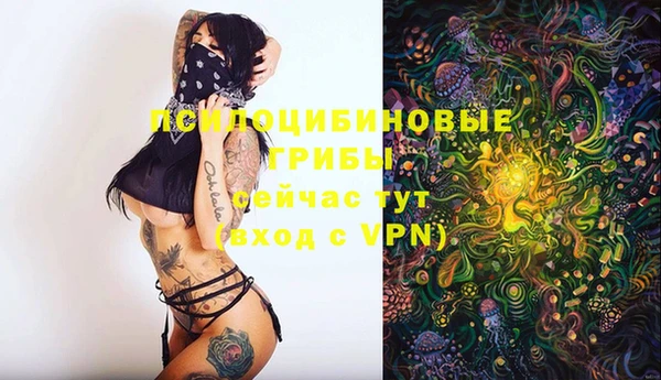 каннабис Беломорск