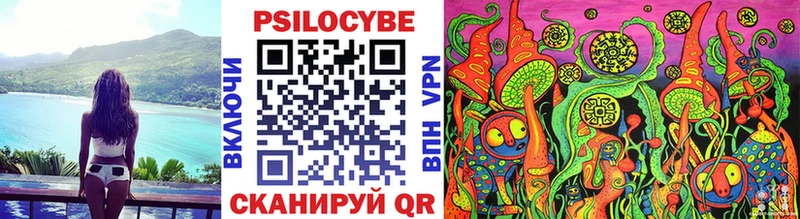 Псилоцибиновые грибы Cubensis Ясный